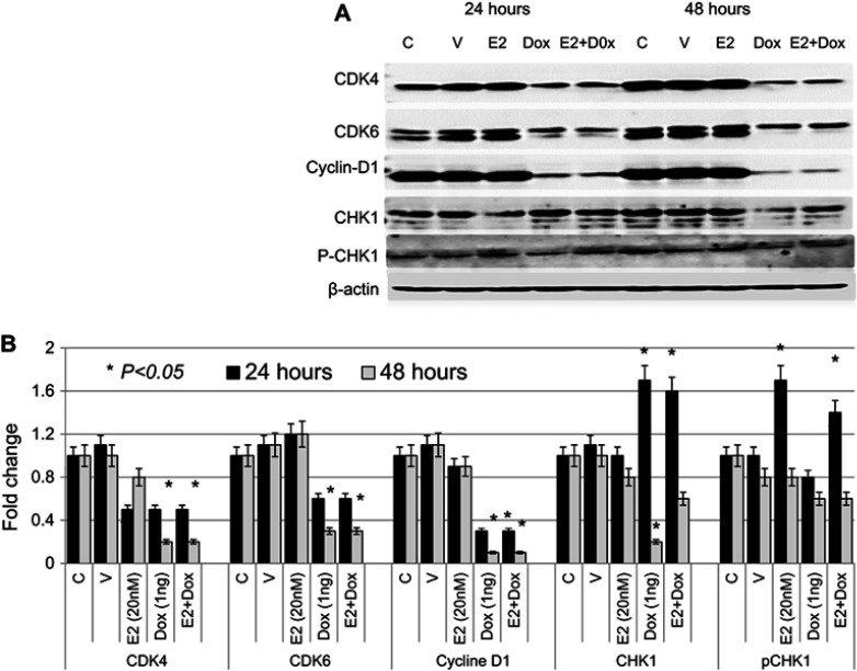 Figure 6