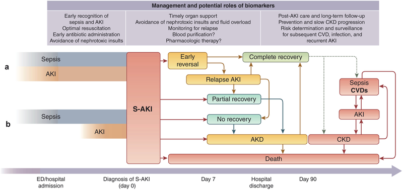 Figure 1 |