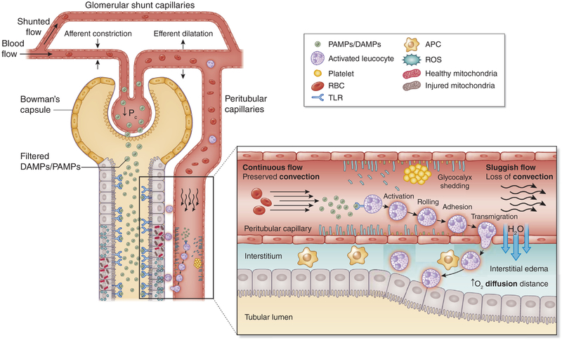 Figure 2 |