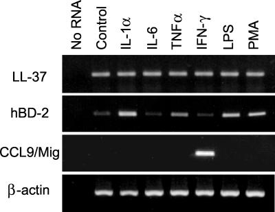 FIG. 7.