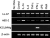 FIG. 7.