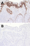 FIG. 8.