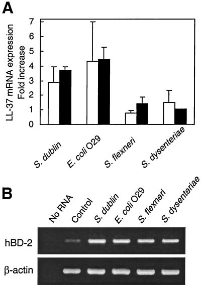 FIG. 9.