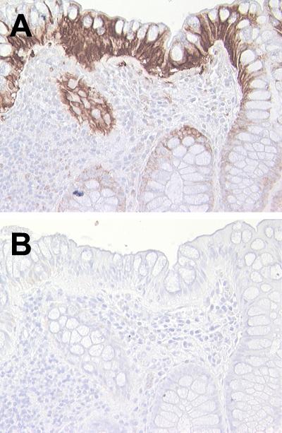 FIG. 8.