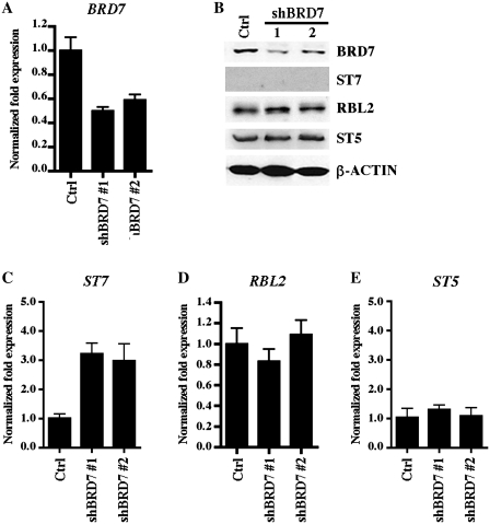 Figure 5.