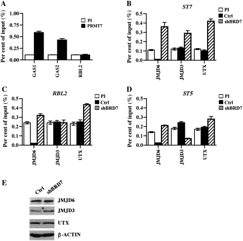 Figure 7.