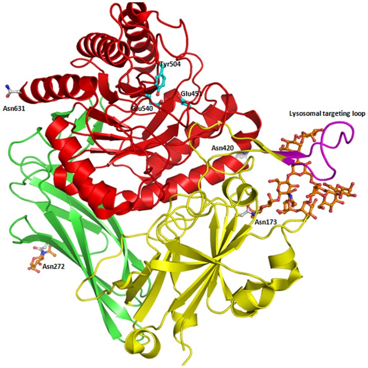 Figure 3