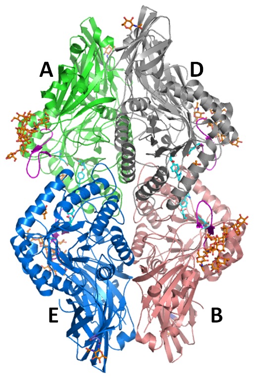 Figure 2