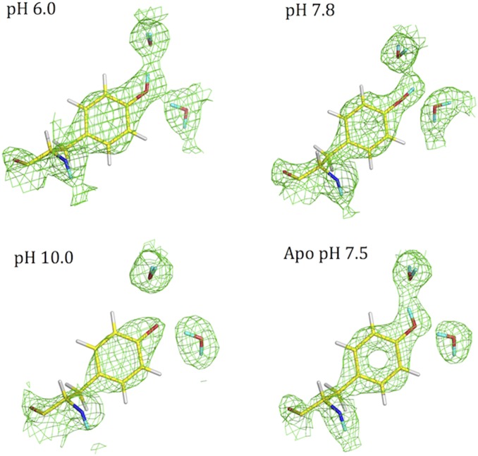 Fig. 3.