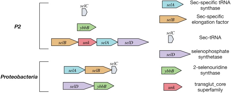 Fig 6