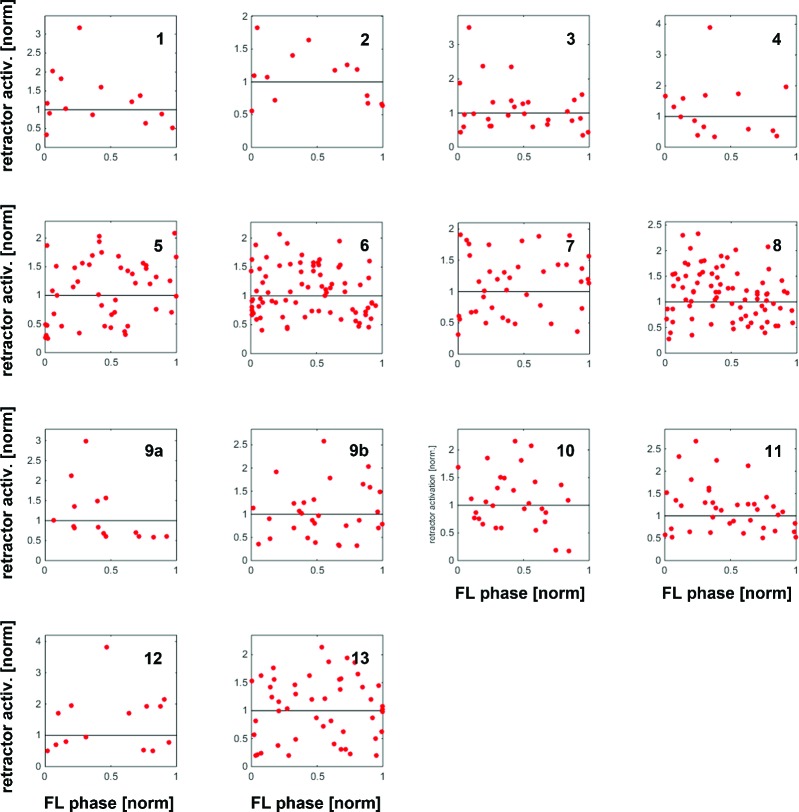 Figure 3—figure supplement 1.