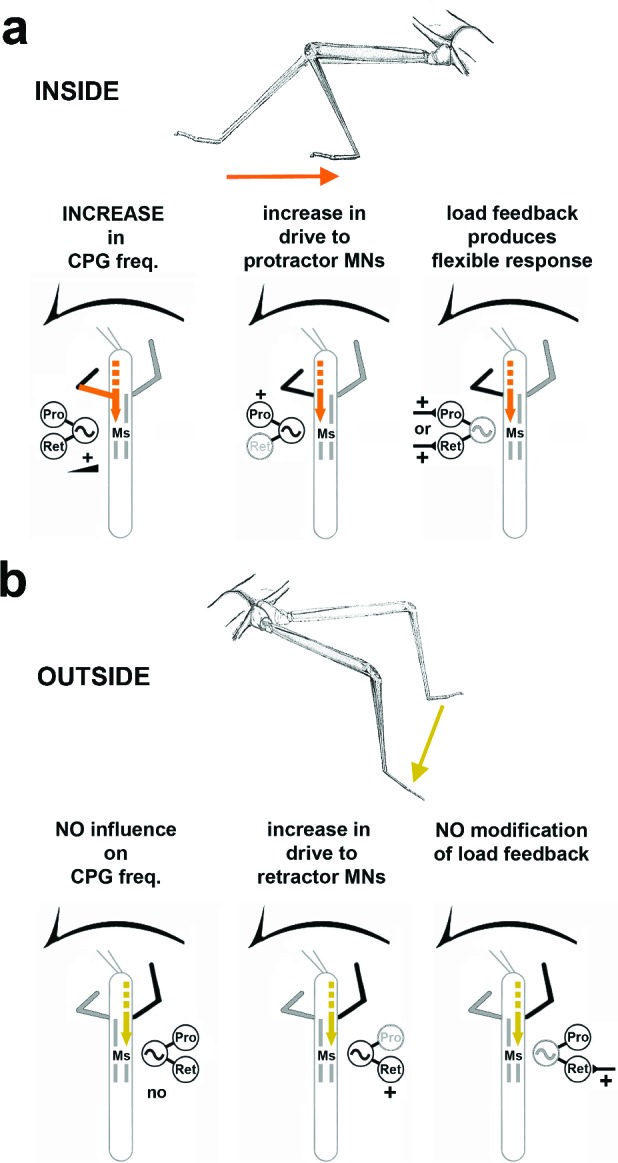 Figure 7.