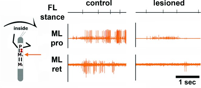 Figure 5—figure supplement 1.