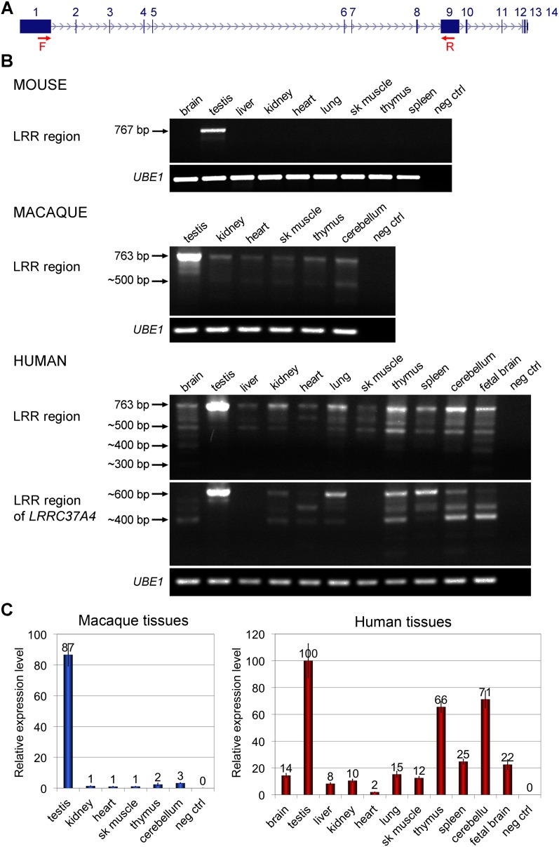 Figure 6.