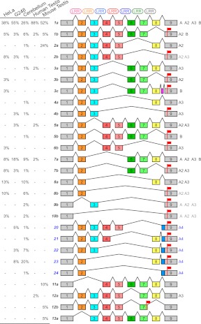 Figure 7.