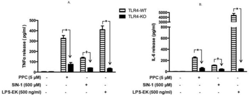 Fig. 11