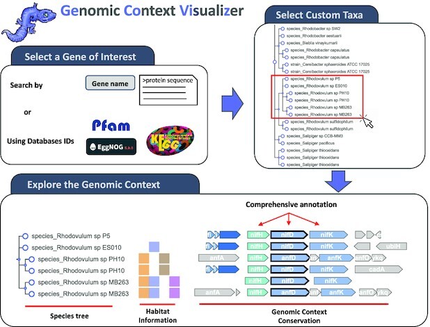 Graphical Abstract