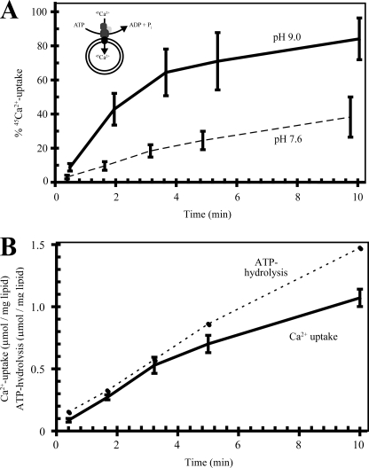 FIGURE 5.