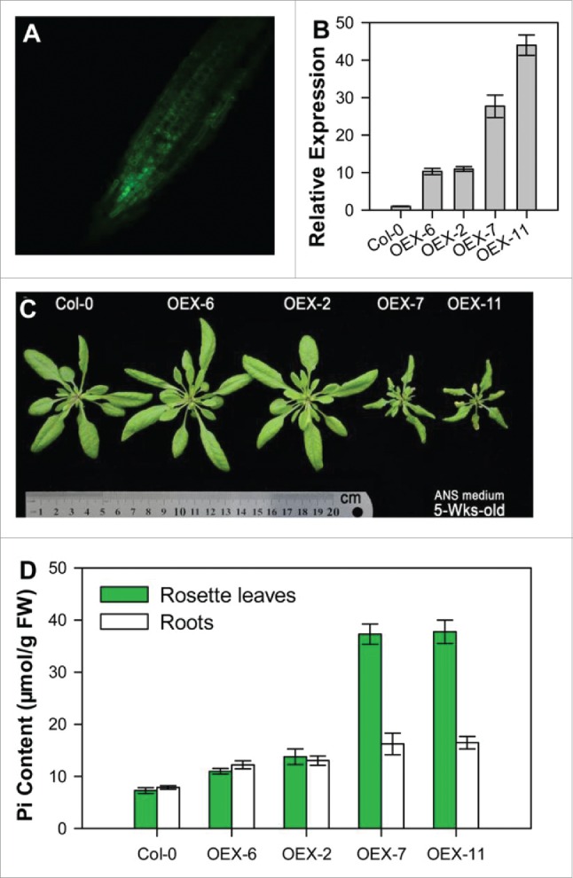 Figure 2.