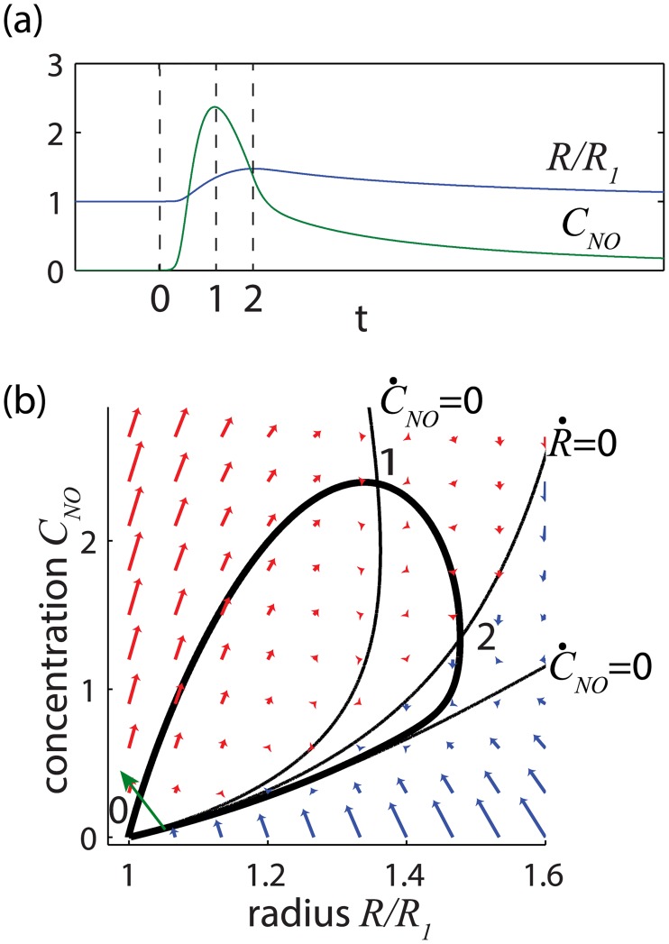 Fig 5