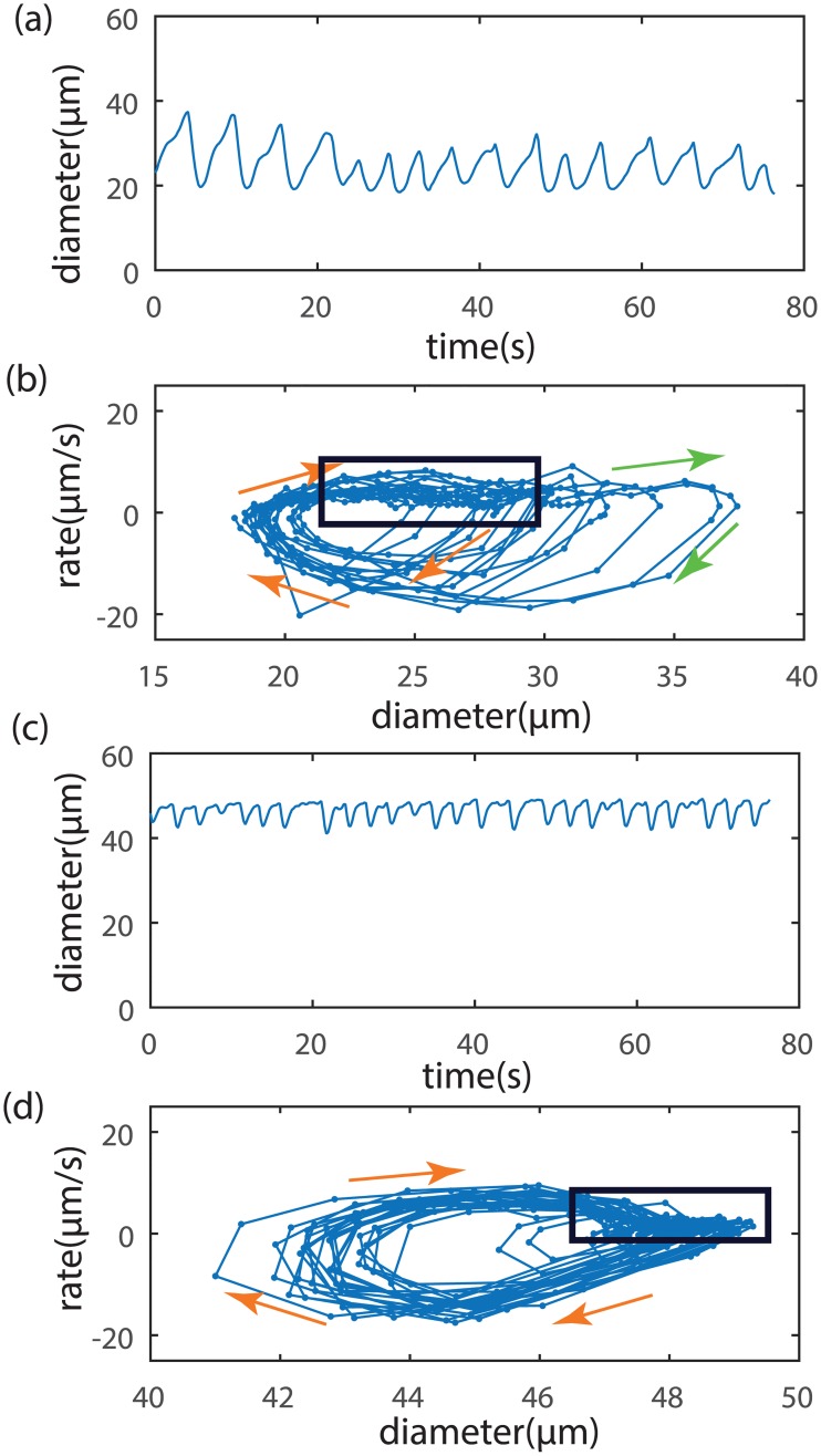 Fig 10