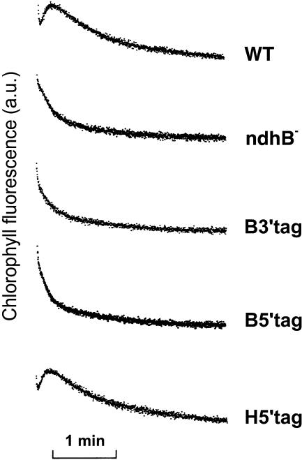 Figure 3.