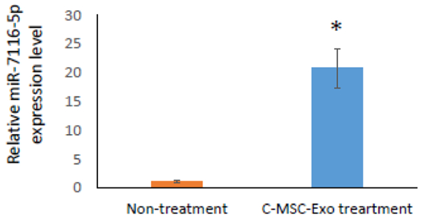 Figure 5: