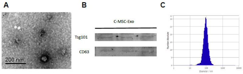 Figure 2: