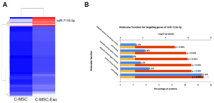 Figure 4: