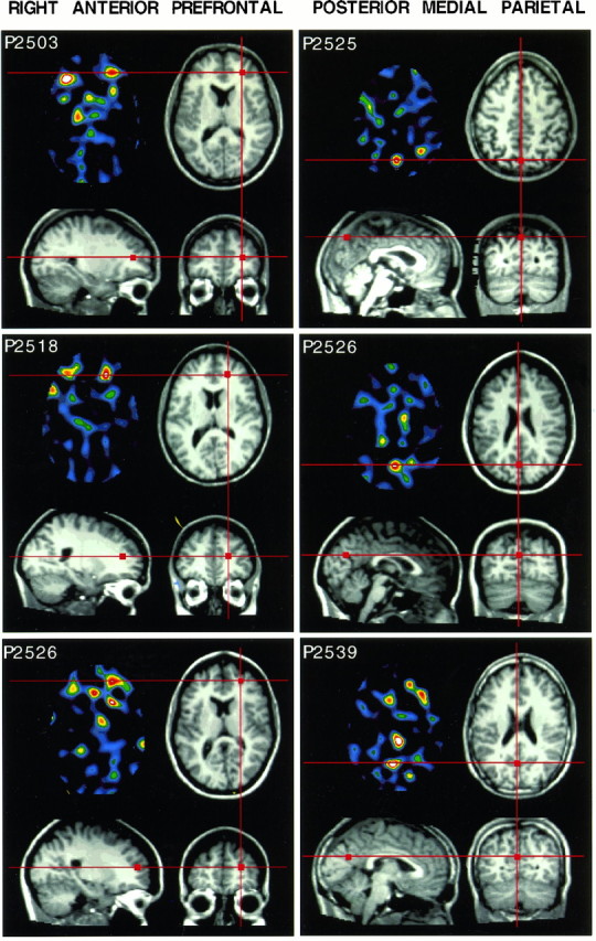 Fig. 6.