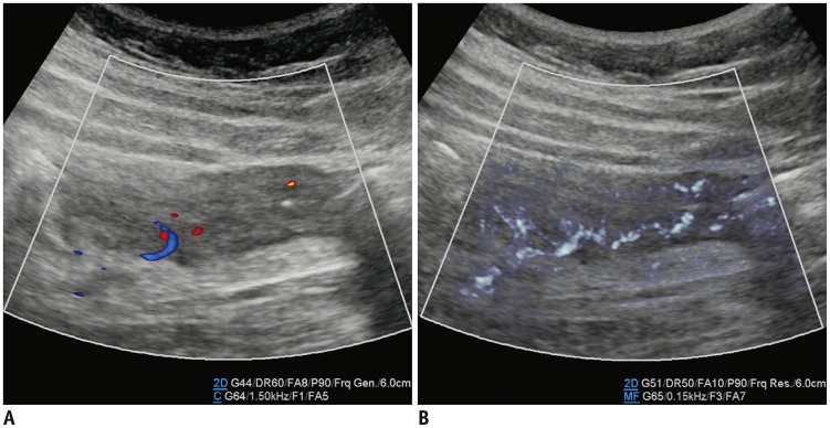 Fig. 9