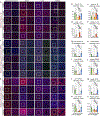 Extended Data Fig. 5 |