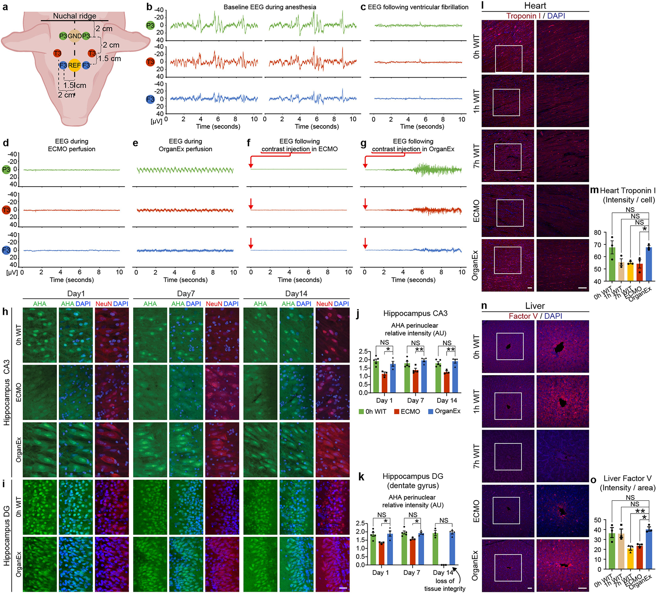 Extended Data Fig. 6 |