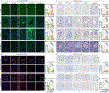 Extended Data Fig. 4 |
