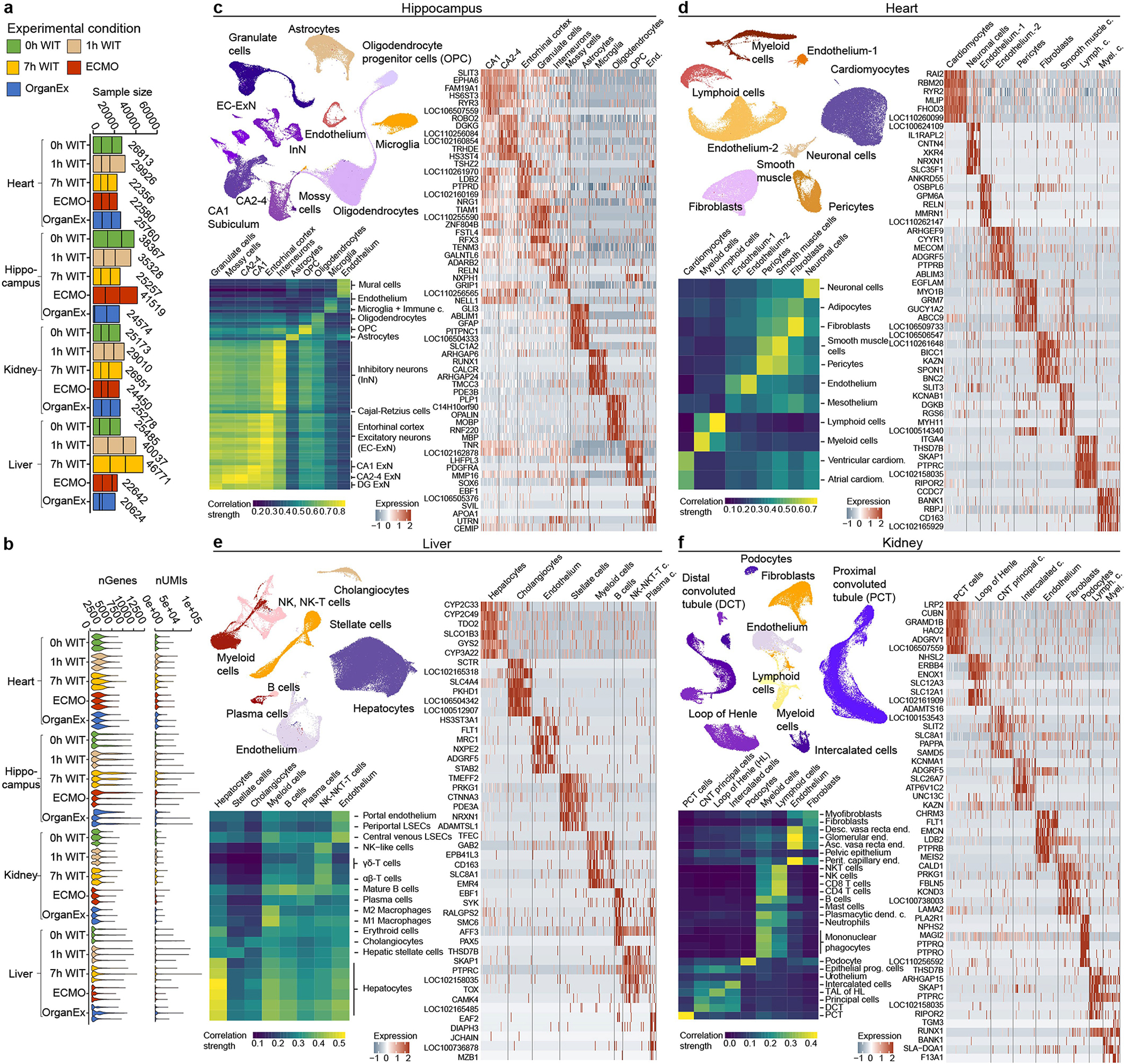 Extended Data Fig. 7 |