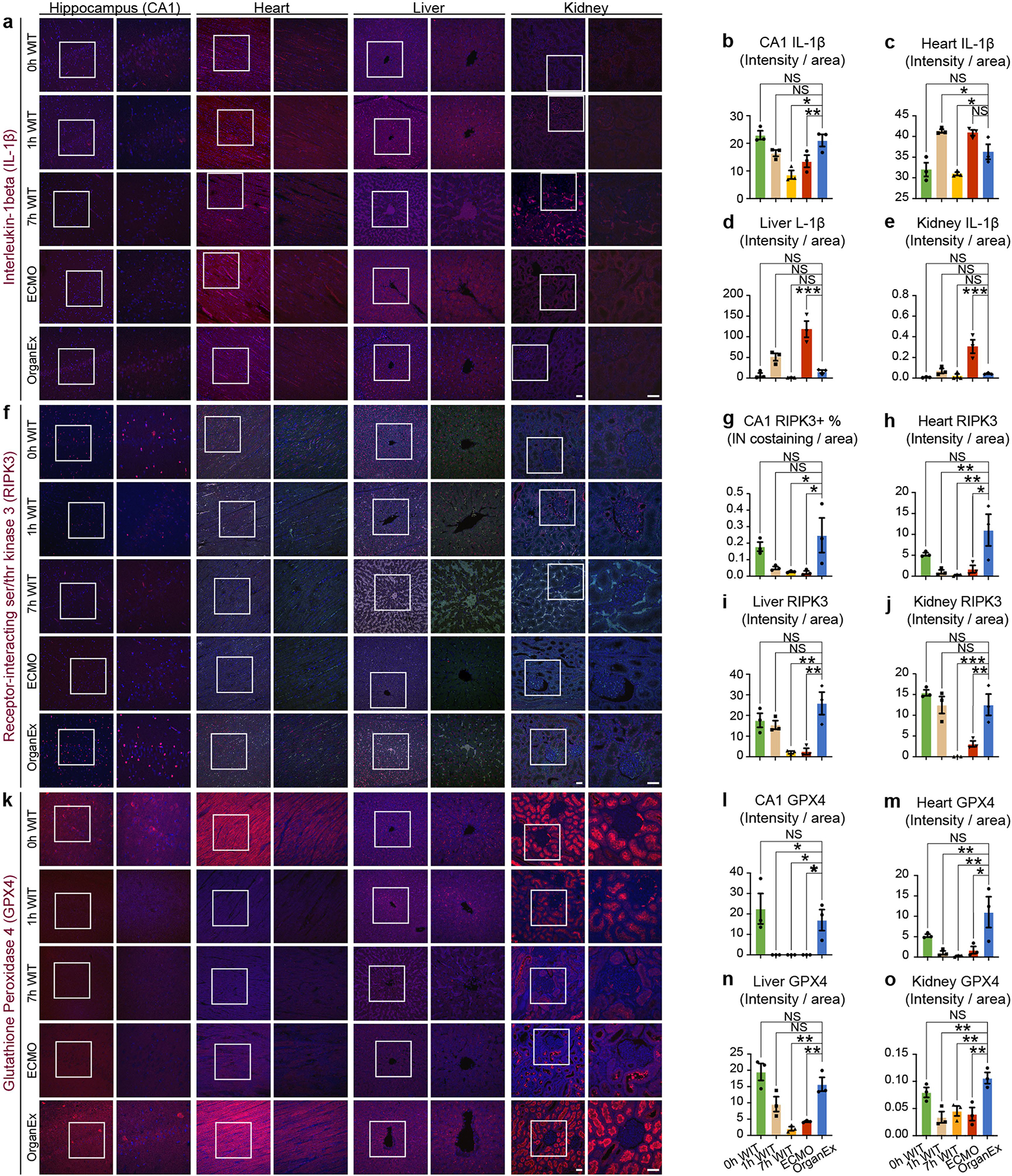 Extended Data Fig. 5 |