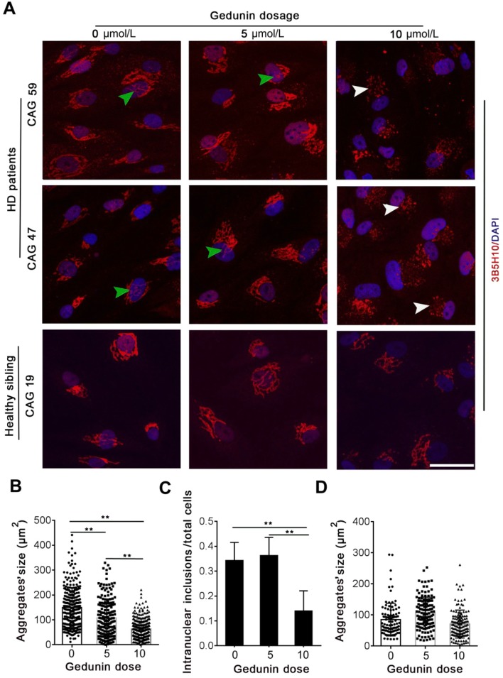 Fig. 3