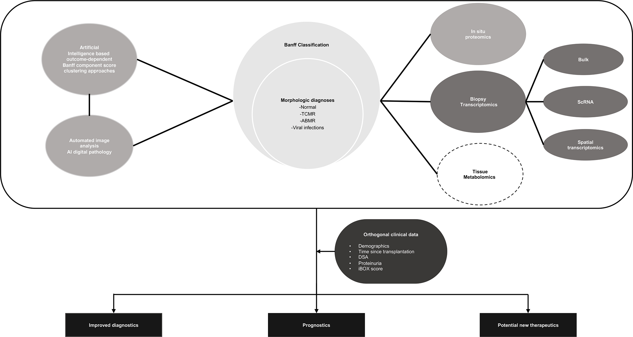 Figure 1 :