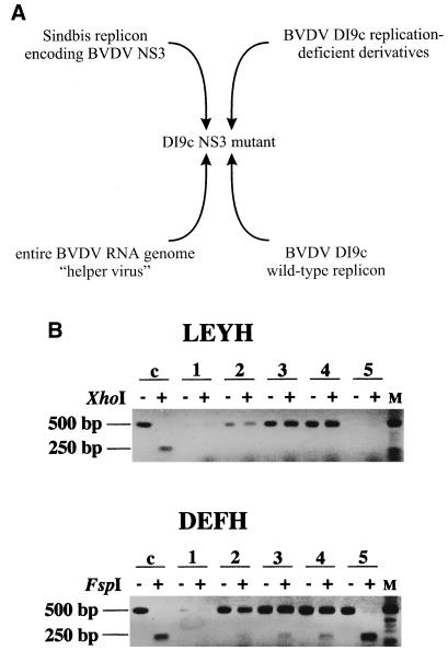 FIG. 5