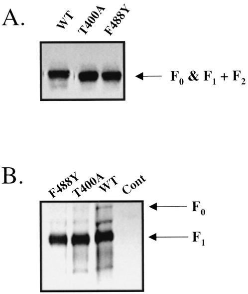 FIG. 8.