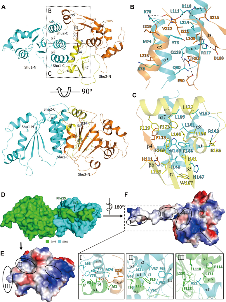 Figure 2.