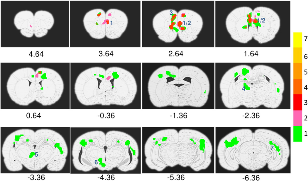 Fig. 3