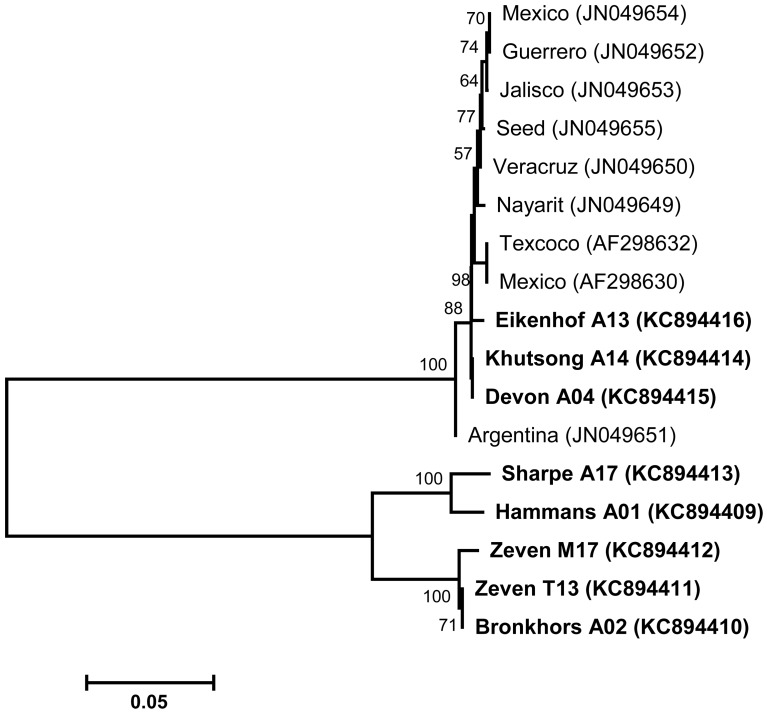 Fig. 2.