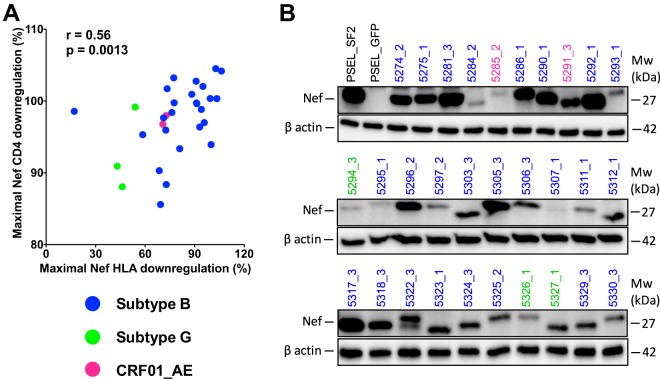 FIG 3