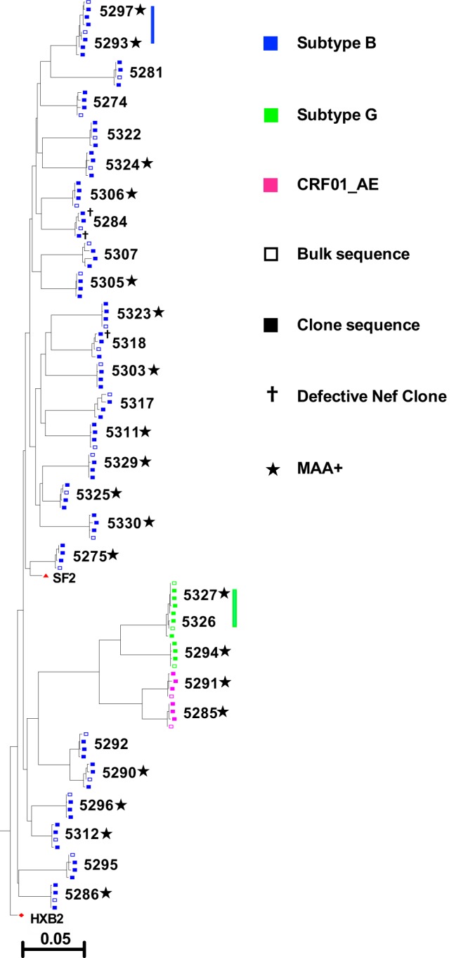 FIG 1