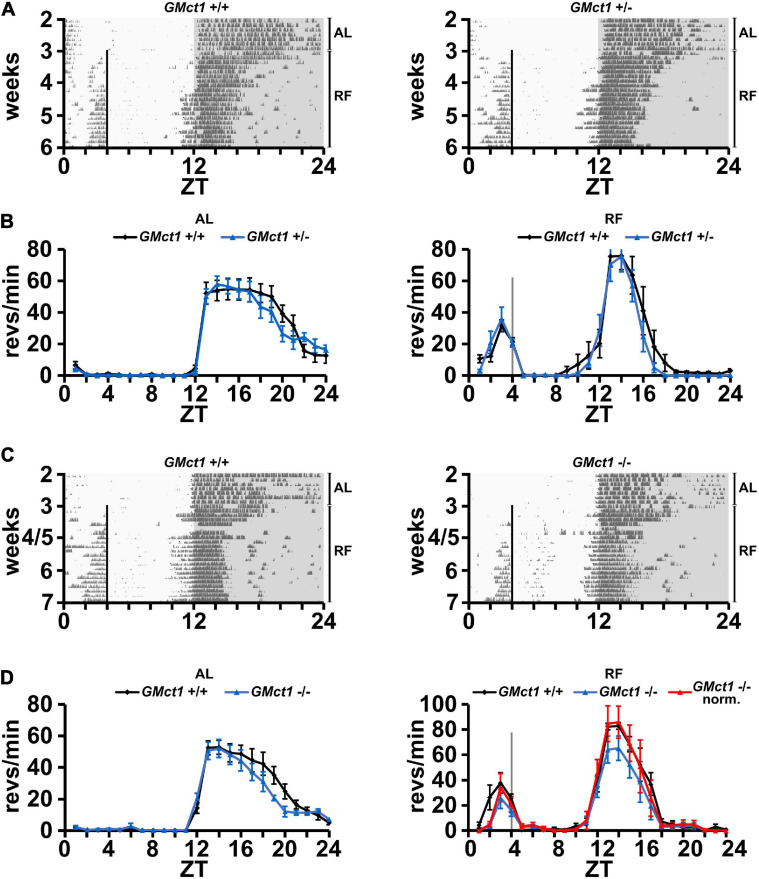 FIGURE 3