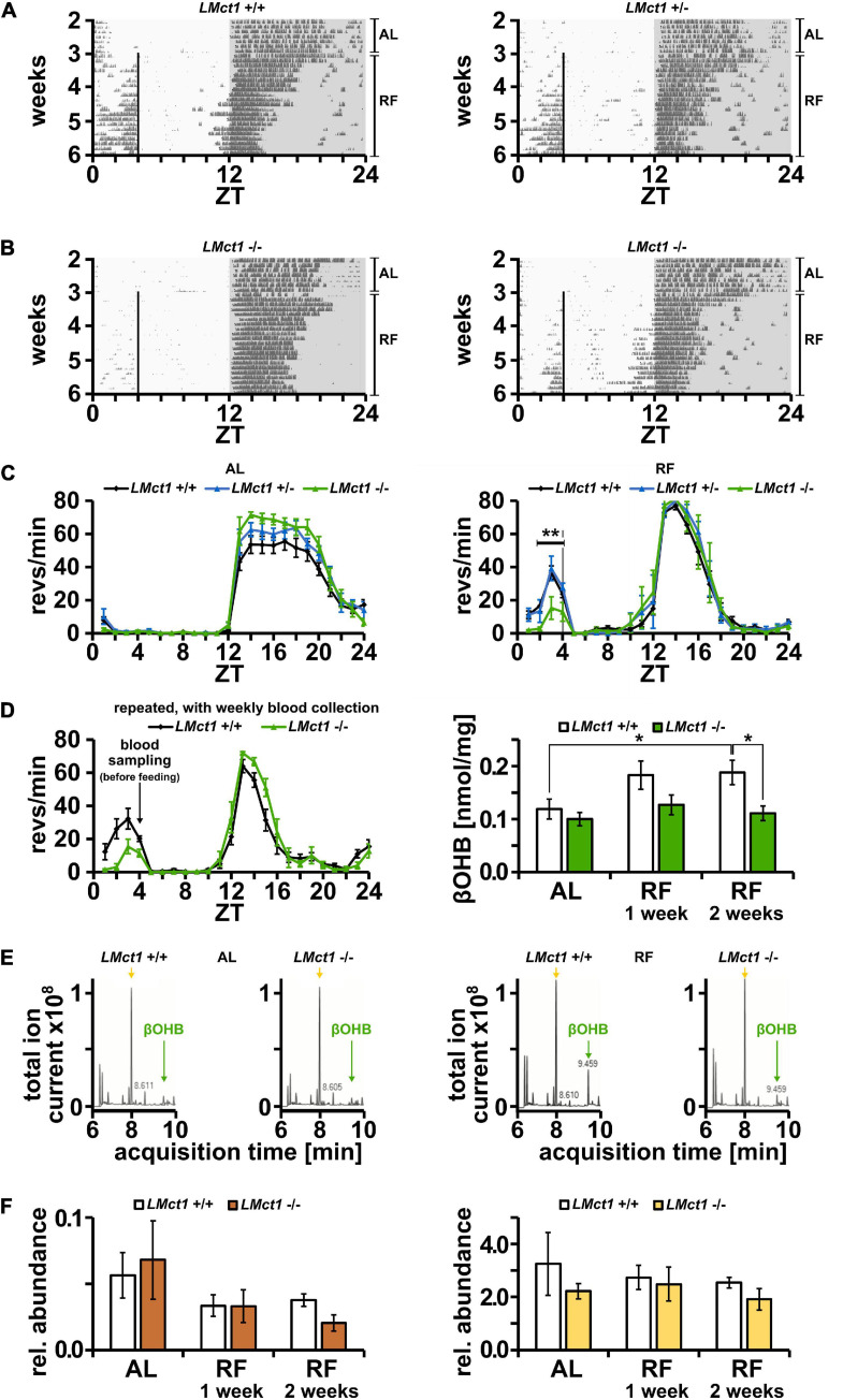 FIGURE 4