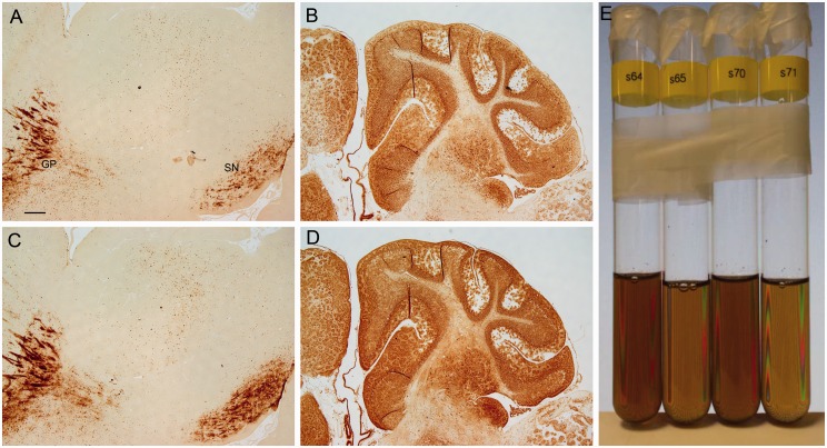 Figure 12.