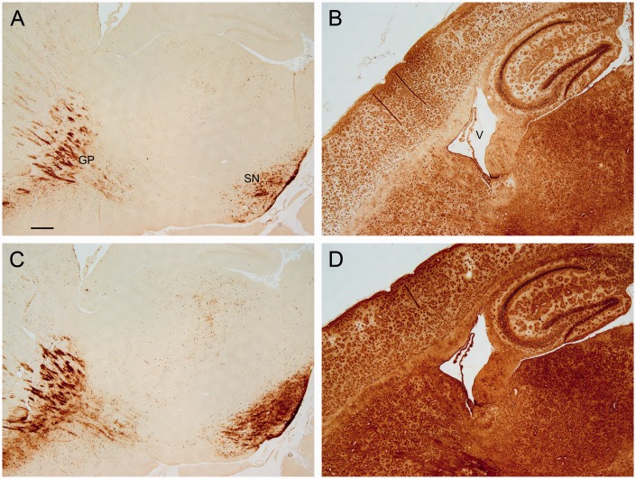 Figure 11.