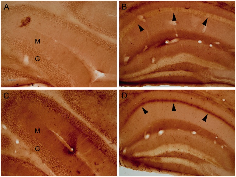 Figure 10.